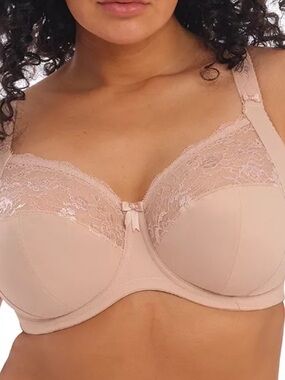 NWT ELOMI MORGAN Tan Lace Bra 34L EL4111 tan $79
